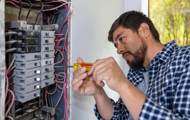 Best Electric Panel Repair  in Aldine, TX